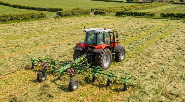 tedding grass